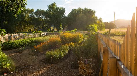 Denver Botanic Gardens – Garden Review | Condé Nast Traveler