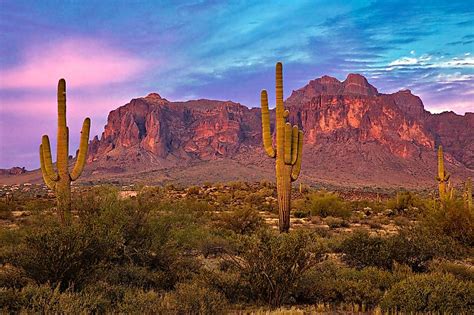 The Sonoran Desert - WorldAtlas