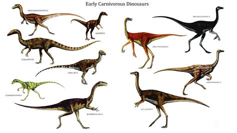 Early Carnivorous Dinosaurs - Carnivore Dinosaurs Wallpaper Image | Prehistoric animals ...