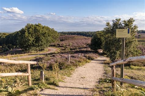 20 Amazing National Parks in the Netherlands - Netherlands Tourism