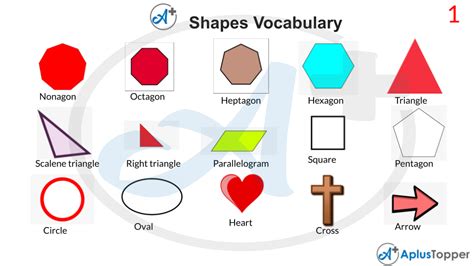 Shapes Vocabulary | List of Shapes Vocabulary With Description and ...