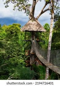 Glamping Accommodation Amazon Rainforest Wooden Treehouse Stock Photo 2194726401 | Shutterstock