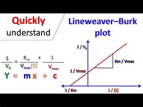 PDF La représentation de Lineweaver-Burk PDF Télécharger Download