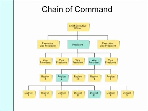 Chain Of Command Chart Template Best Of Chain Mand Chart | Chain of command, Basic cv template ...