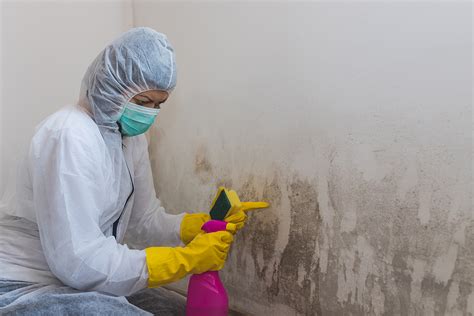 Mold Removal, Fire and Water Restoration, Brooklyn, NY