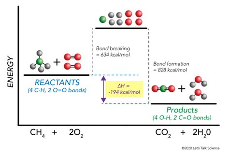 The Cold Pack: A Chilly Example of an Endothermic Reaction - Let's Talk ...