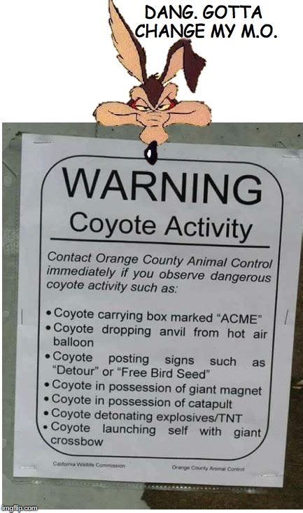 wile e coyote - Imgflip