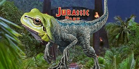 Jurassic Park: Why Frog DNA Was Used to Create The Dinosaurs