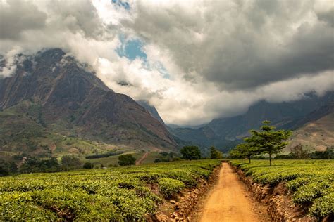 Mount Mulanje · Partners - explorer.land