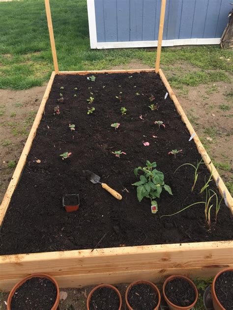 [Utah] My first vegetable garden - I spent a lonnnng time with Jenny at ...