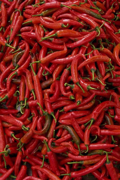 Thai Pepper: Many Types and Heat Levels - Chili Pepper Madness