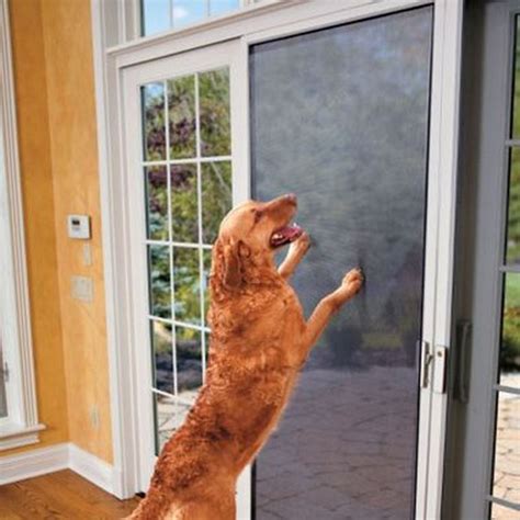 Pet Screen Kits - SkyMall | Screen door, Pet proof, Dog screen door