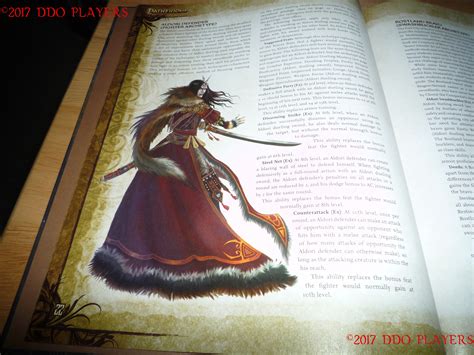 Pathfinder Adventurer’s Guide Review | DDO Players