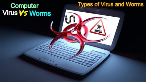 🎉 Computer worm examples. Computer Virus vs Computer Worm. 2019-01-30