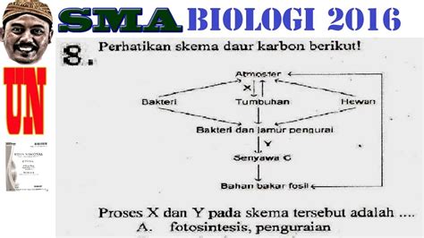 skema daur karbon, un sma biologi 2016 no 08 - YouTube