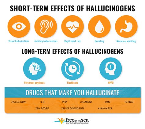 Hallucinogens Effects On The Brain