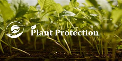 Plant Protection – Canadian Vocational and ICT Academy Inc