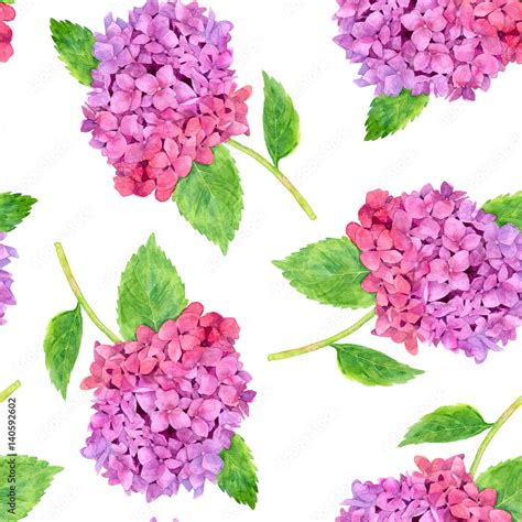 seamless pattern with watercolor pink hydrangea Stock Illustration | Adobe Stock