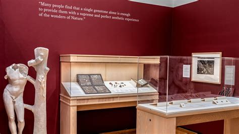 Museum exhibit illuminates Pliny’s study of art, nature | Cornell Chronicle