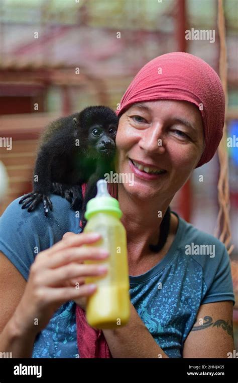 Happy caretaker feeding an orphan baby howler monkey in a sanctuary ...