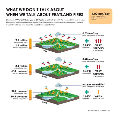 What We Don't Talk About When We Talk About Peatland Fires – Tay Juhana ...