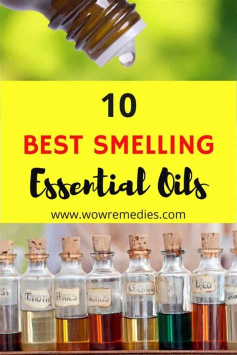 Best Smelling Essential Oils for Perfumes and Aromatherapy Blends ...