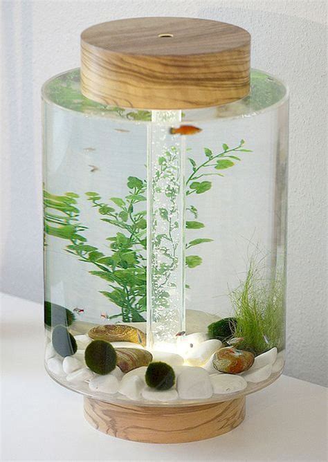 Marvelous Amazing Tips Your New Aquarium Decorations | Aquarium decorations, Diy aquarium, Cool ...