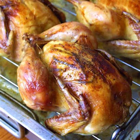 Recipe For Cornish Game Hens In A Convection Oven - Infoupdate.org