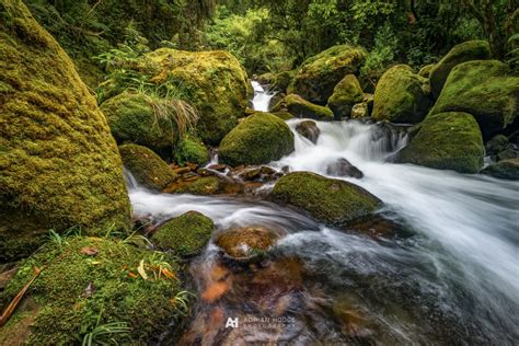 Lower Wairere Falls #1 - Adrian Hodge Photography