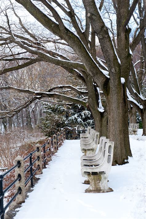 Brooklyn Botanic Garden in winter snow - a photo on Flickriver