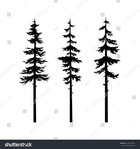 Black Tree Silhouette Conifer Vector Collection : image vectorielle de ...