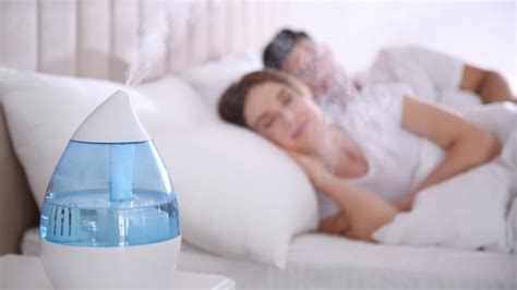 Air Purifier Vs. Humidifier: Which One Is Better For Asthma?