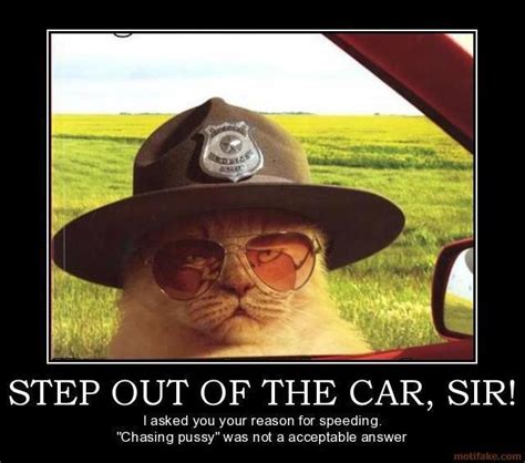 cat police | Funny | Pinterest