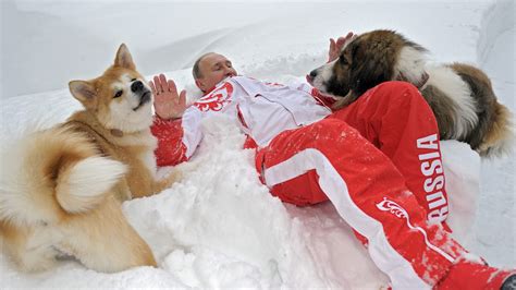 Putin Dog Breed : Labrador Tops Most Popular Dog Breed List For 29th Year In A Row Smart News ...