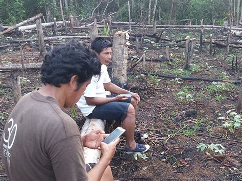 Indigenous Peoples Harness Space Technology to Stop Deforestation - Eos