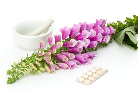 Digitalis with Cardiac Pills Stock Image - Image of close, studio: 41536561