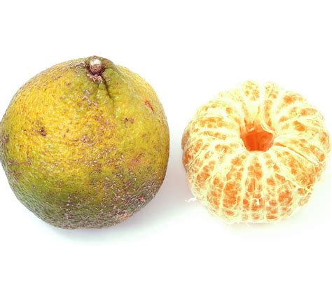 Ugli Fruit - Healthier Steps