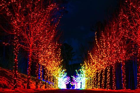 Winterlights - Naumkeag | Berkshires MA