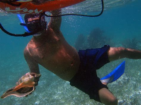 The BEST Snorkeling in Cancun | CARM Blog