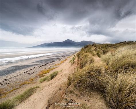 Murlough Beach, Co Down | Places to visit, Beach, Outdoor