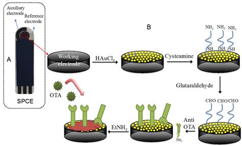 Biosensors | Special Issue : Screen-Printed Electrodes and Sensors