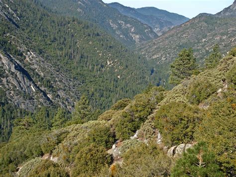 Kings Canyon - west: Hotel Creek Trail, Kings Canyon National Park, California