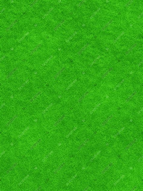 97 Background Green Grass Images - MyWeb