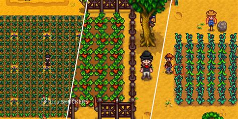 Stardew Valley: Best Crops For Each Season