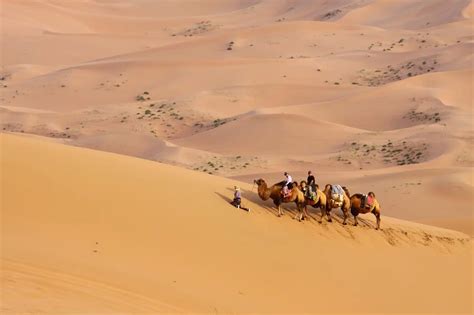 15 Gurun Besar Dunia - Petualangan di Sahara, Gobi, dan sekitarnya