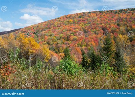 Fall Foliage in the Mountains of West Virginia Stock Photo - Image of ...