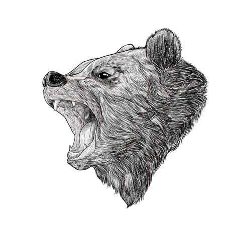 a drawing of a bear's head with it's mouth open and its teeth showing