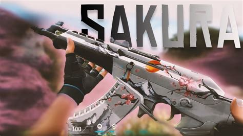 Old Sakura New Aimbot - Valorant Highlights - YouTube