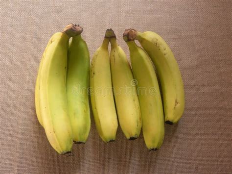 Cavendish bananas stock image. Image of ingredient, flavor - 168737867