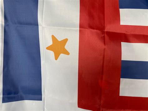 "French Legion" Variant of the Republic of Louisiana House Flag ...